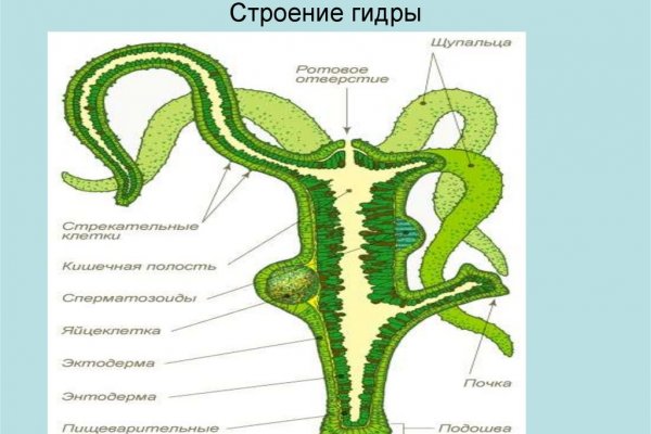 Кракен сайт